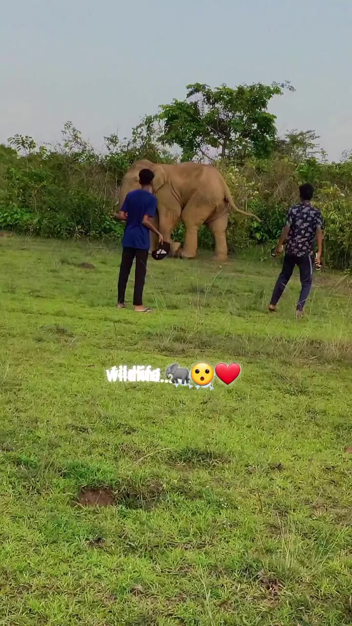 @Rajkumar