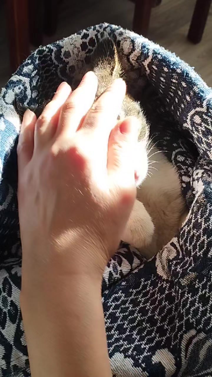 @🐾