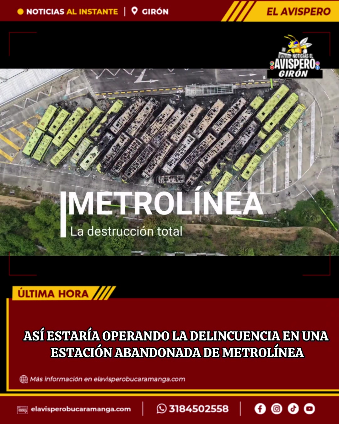 @avisperobucaramanga