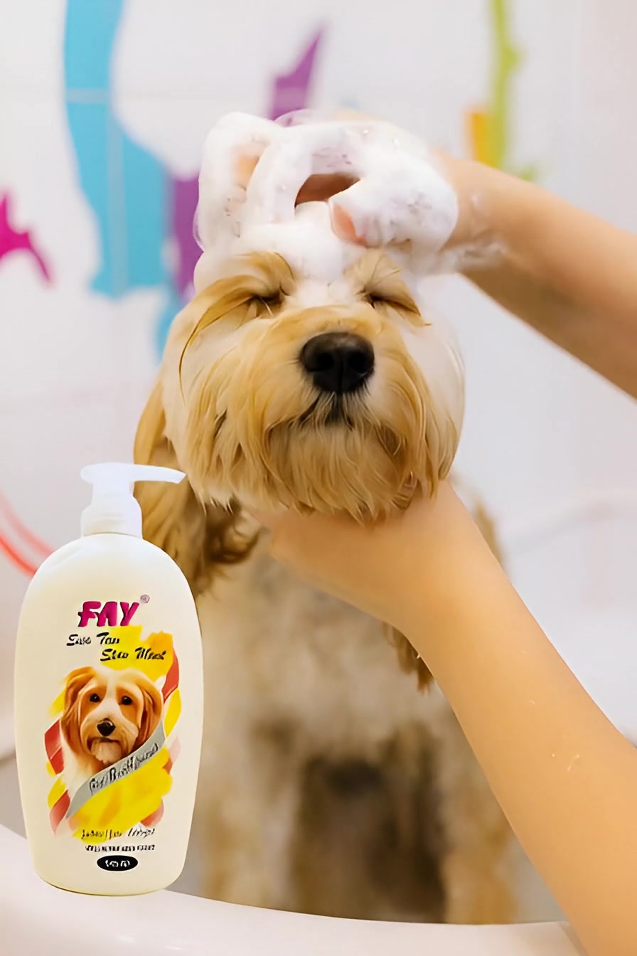 @PetCare