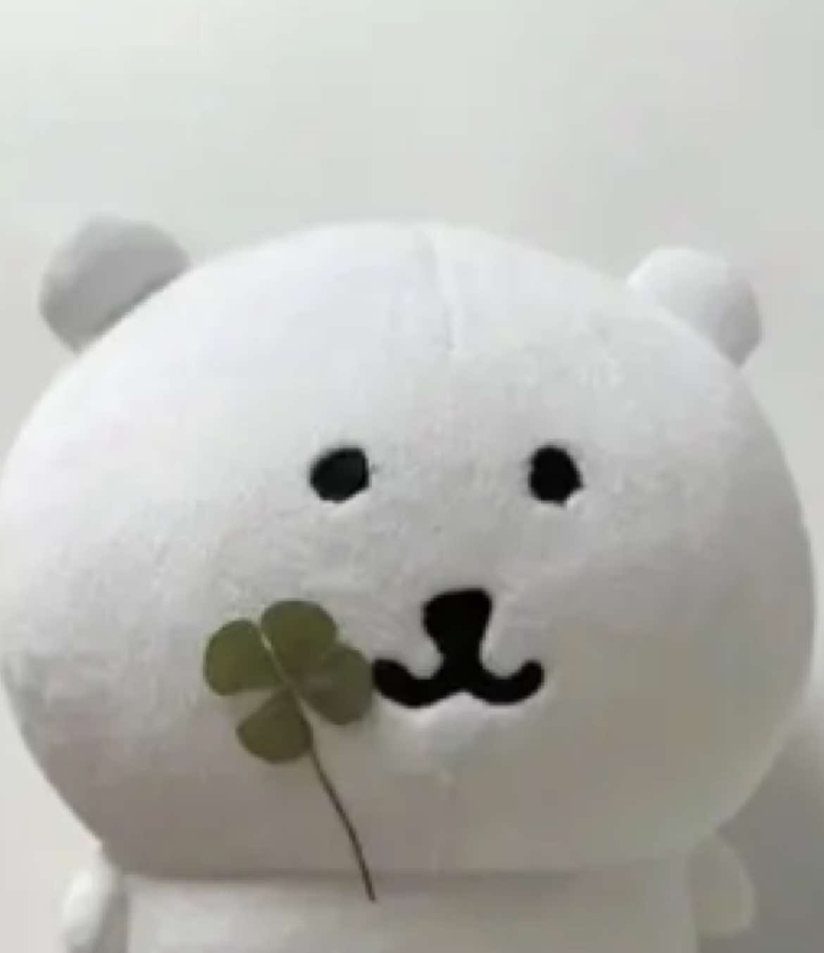 @하은