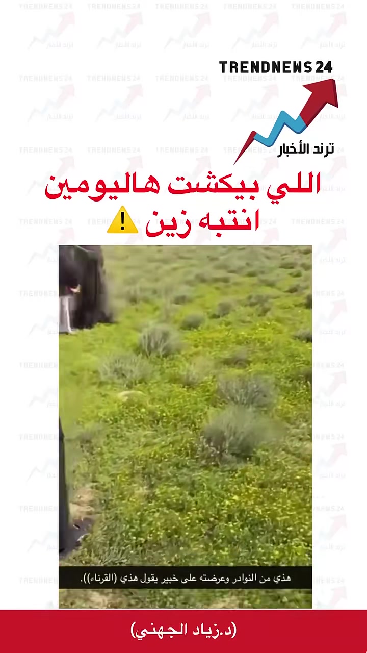 @ترند الأخبار