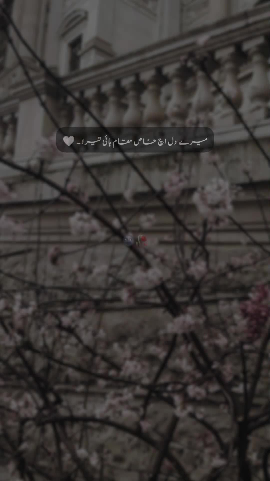 @๐ ๐ ๐ ๐ข ๐๐ซ