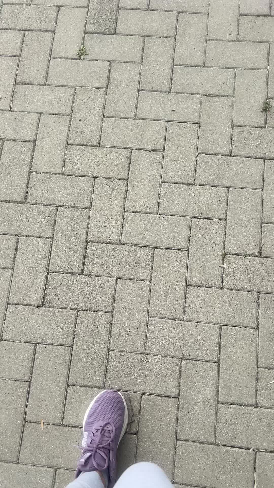@🐝