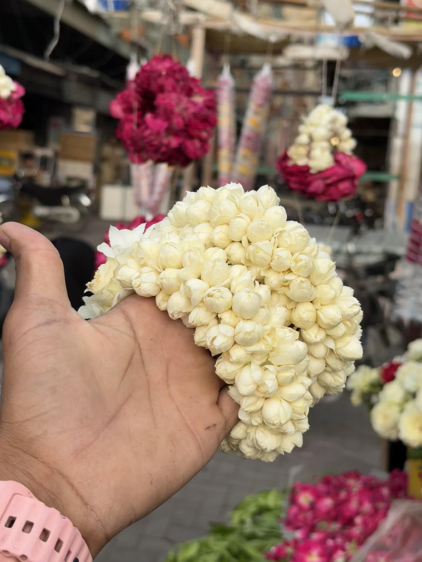 @🌹  𝐍𝐀𝐃𝐈𝐑 𝐅𝐋𝐎𝐖𝐄𝐑 🌹