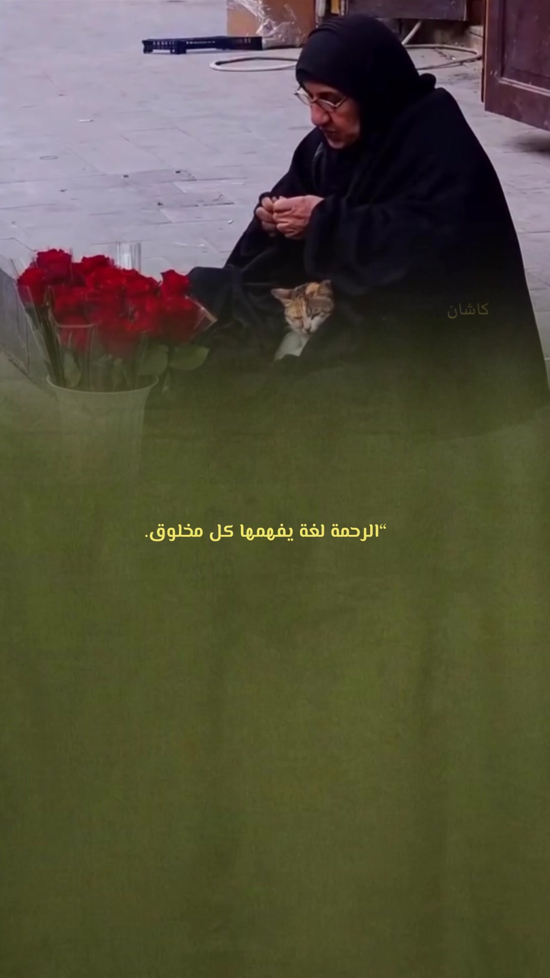 @kashin_02