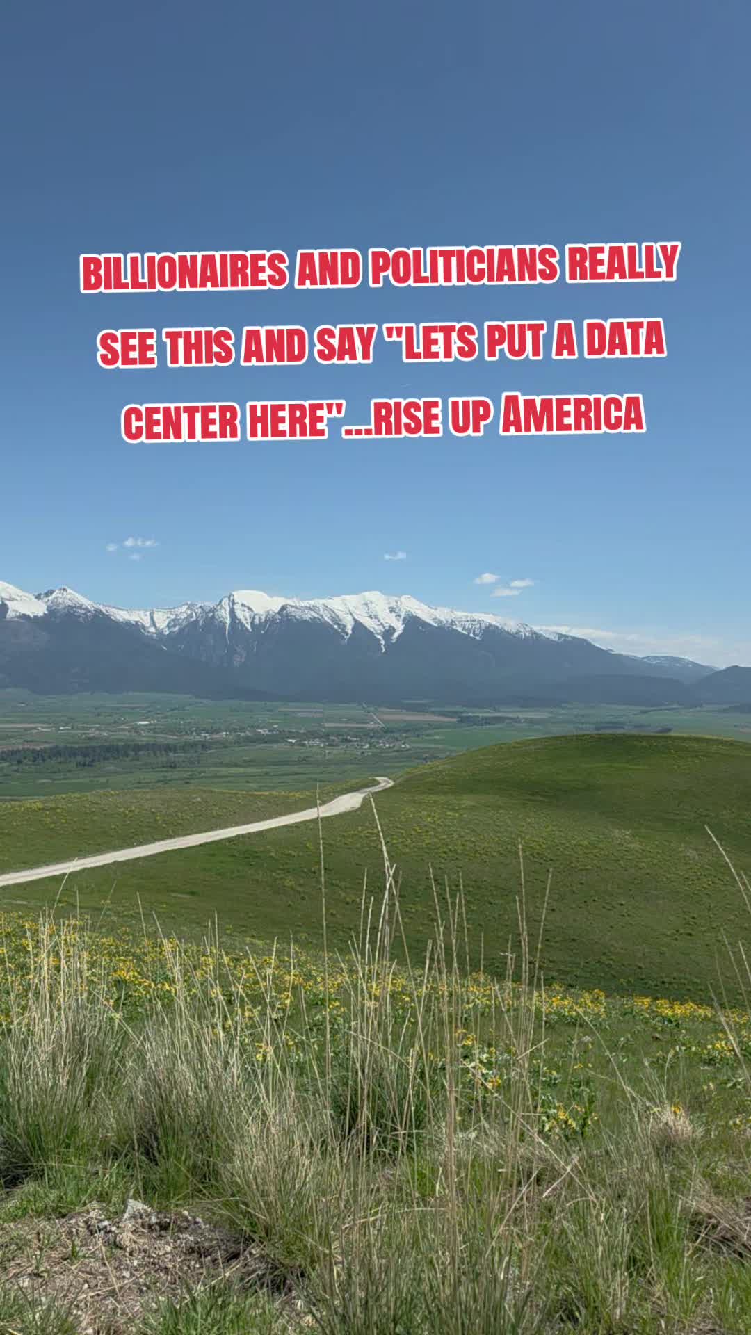 @EllenRescuesPyrs