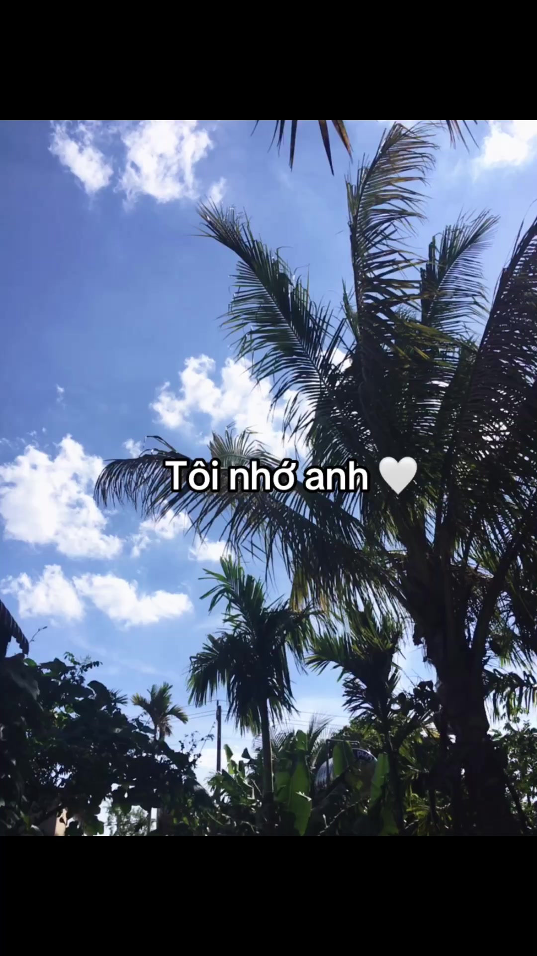 @𝓓𝓾𝓸𝓷𝓰👾