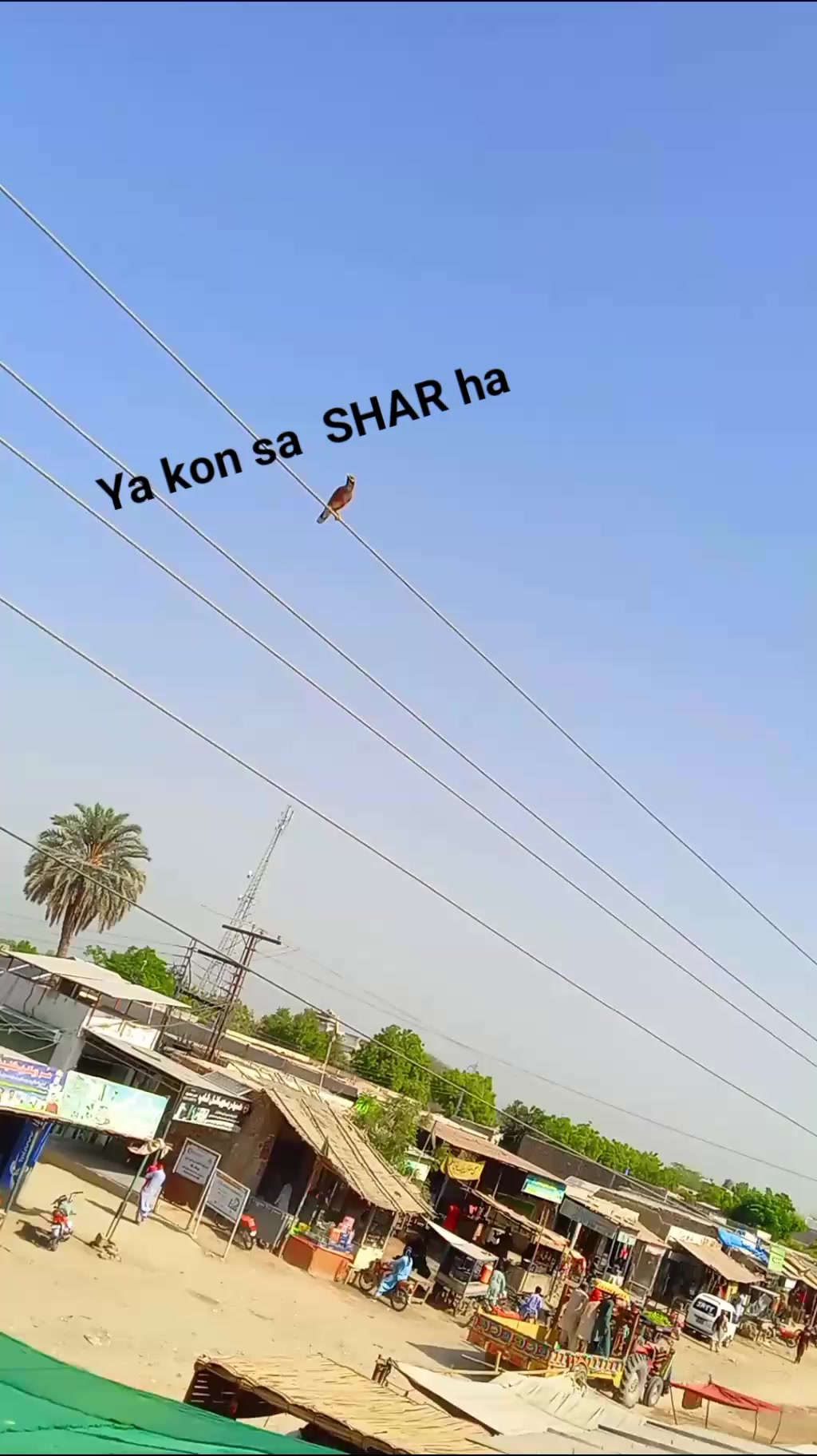 @pakhi pari 12