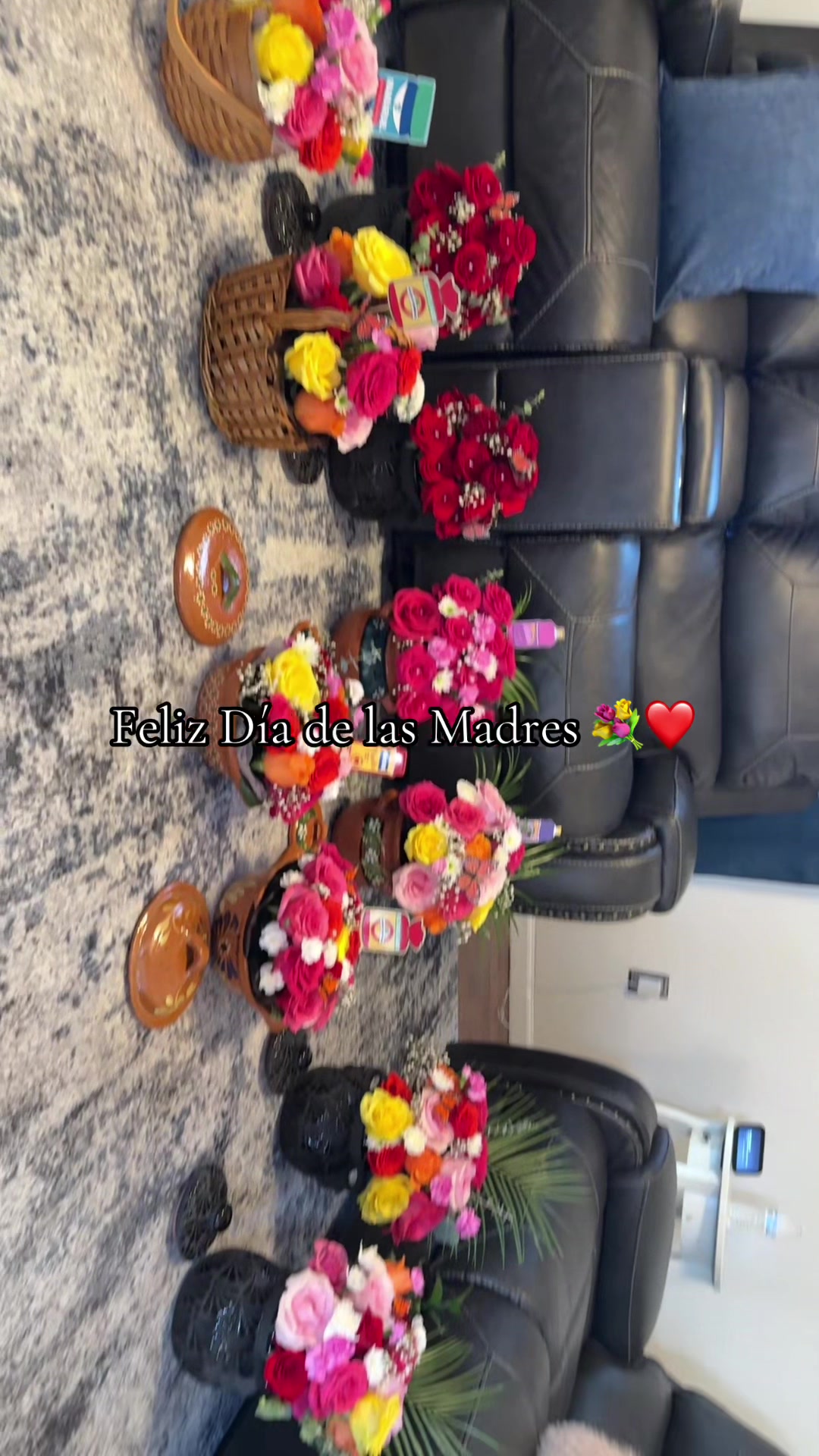 @Alma Raz