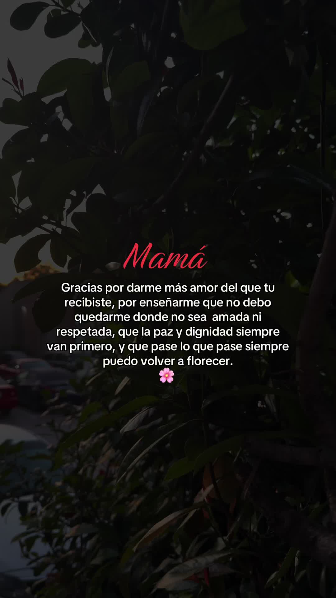 @🌻✨𝐸𝐿𝐼𝒵𝒜𝐵𝐸𝒯𝐻✨🌻