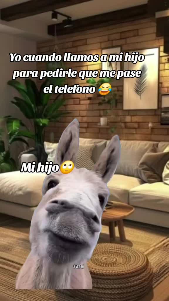 @Iris