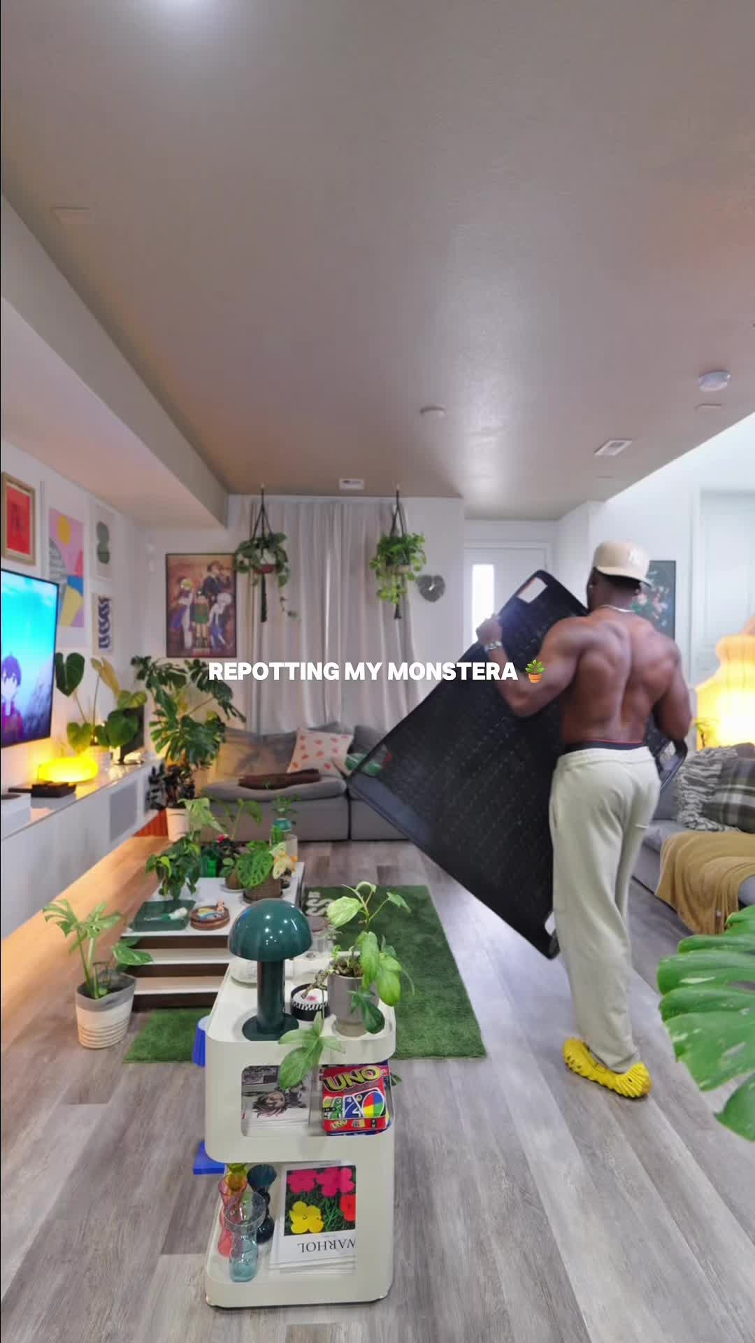 @PLANT DADDY KOSS