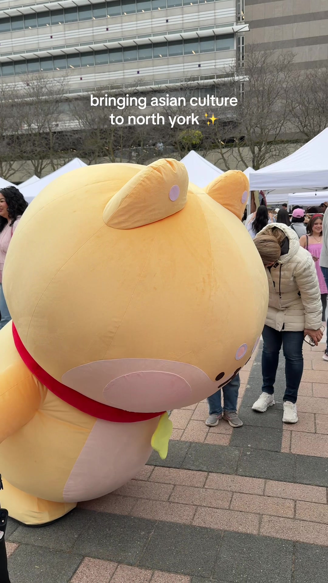 @sukoshi