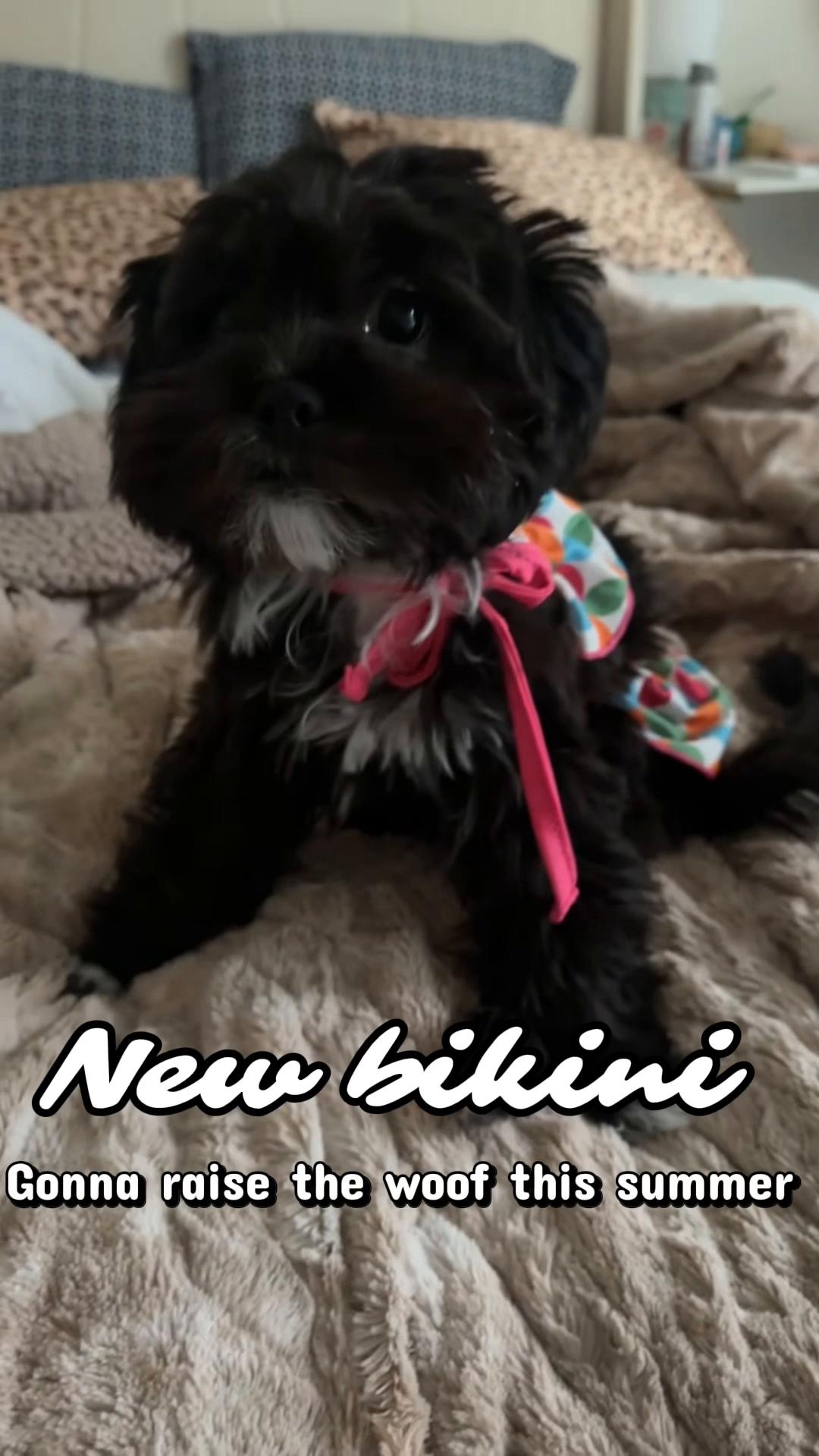 @Minnie_Twist