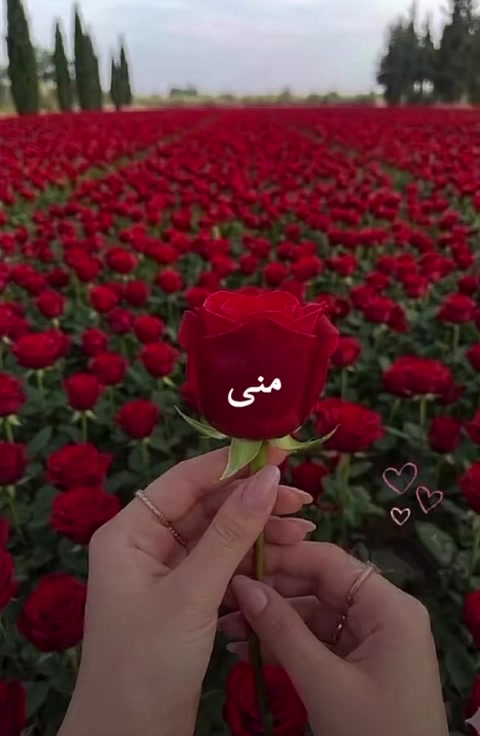 @liowx_