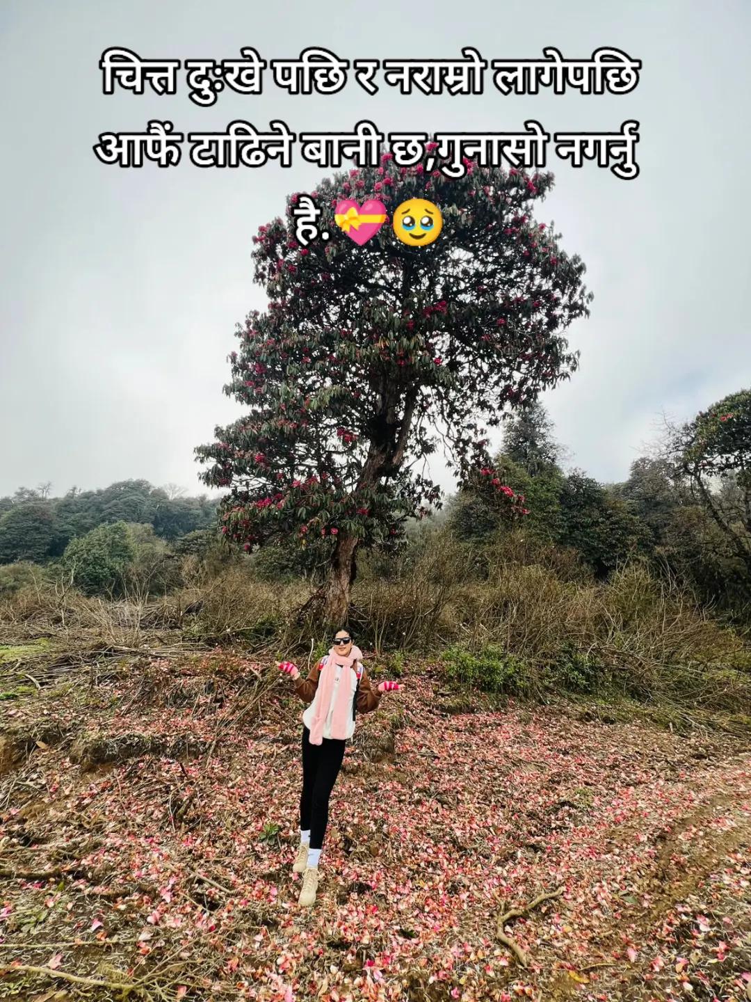 @Ms.kalpu🦋🤗