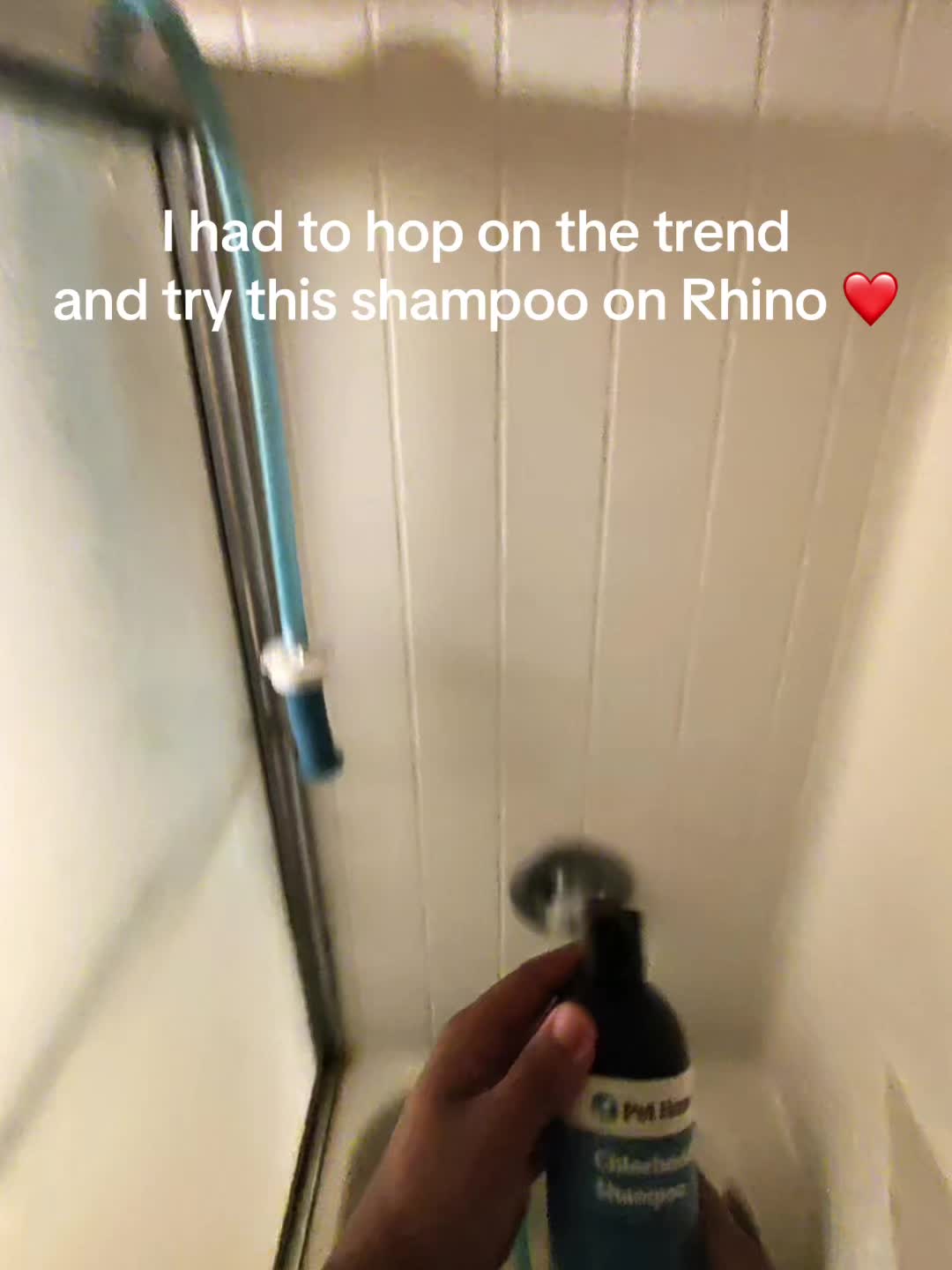 @rhino_finds