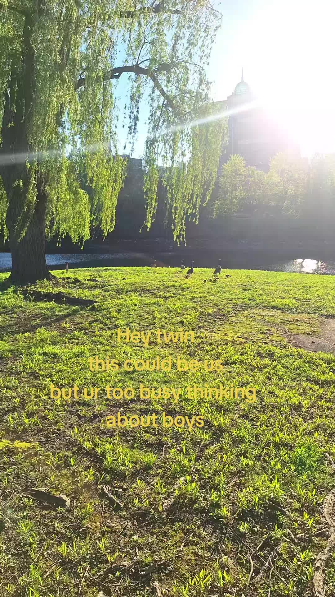 @𝕬𝖓𝖓𝖔𝖞𝖎𝖓𝖌 𝕻𝖑𝖆𝖓𝖙🌱