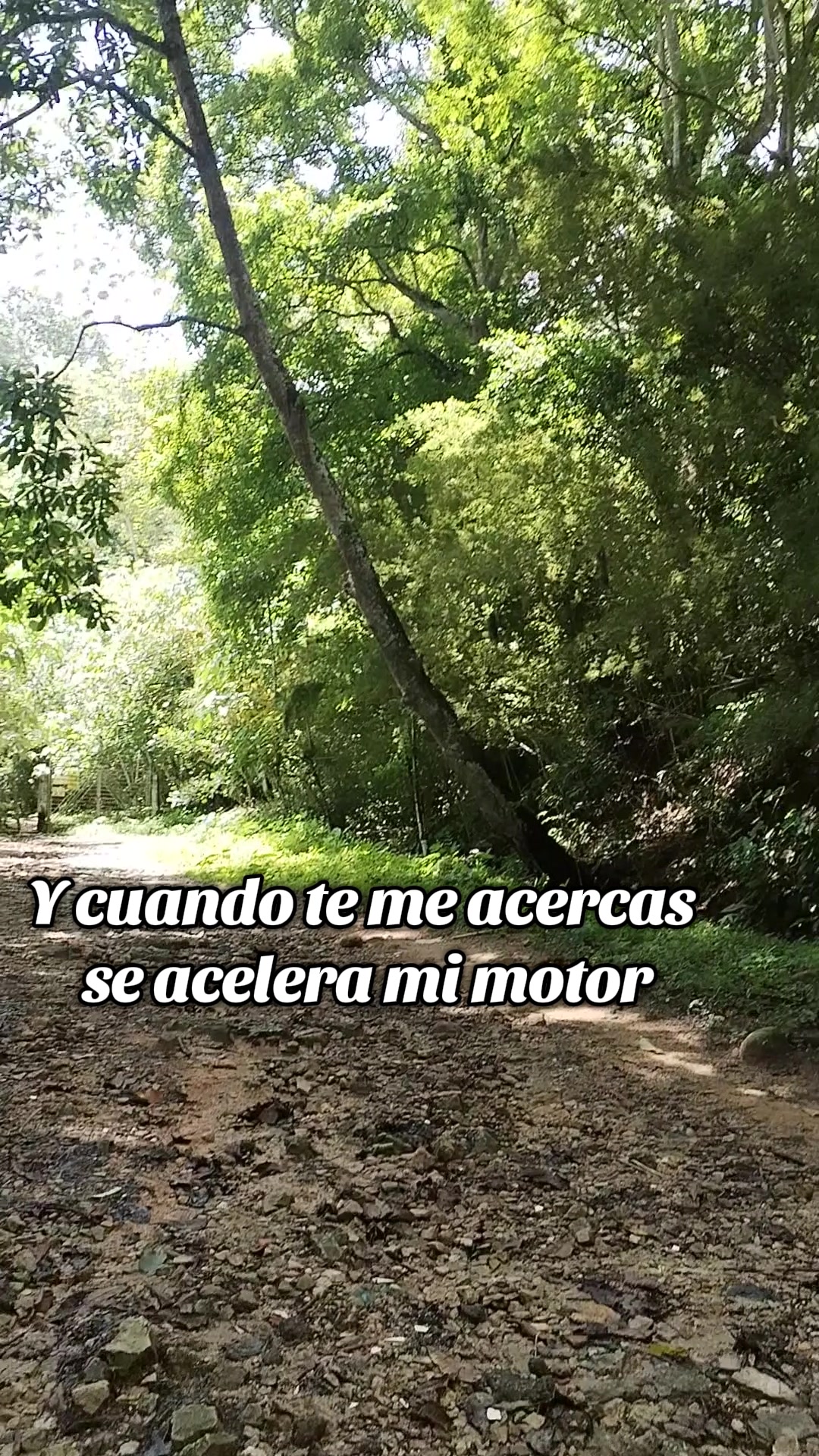 @Liliana Zabala Mendoza