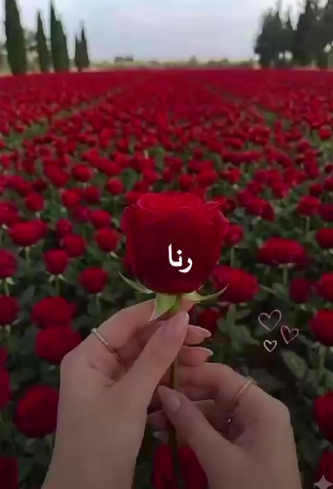 @liowx_