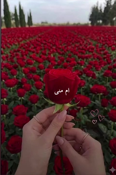 @liowx_
