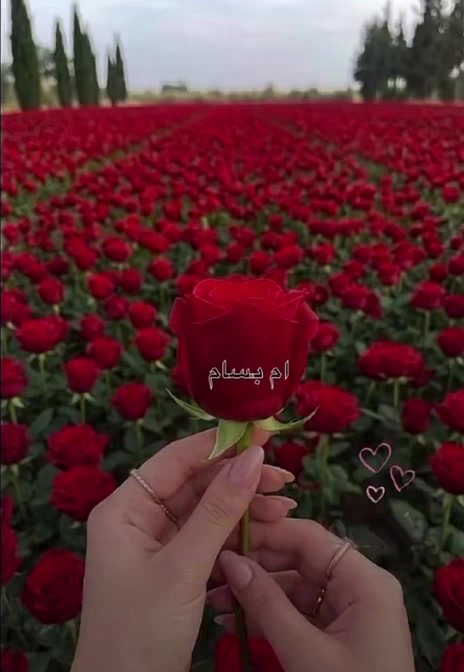 @liowx_