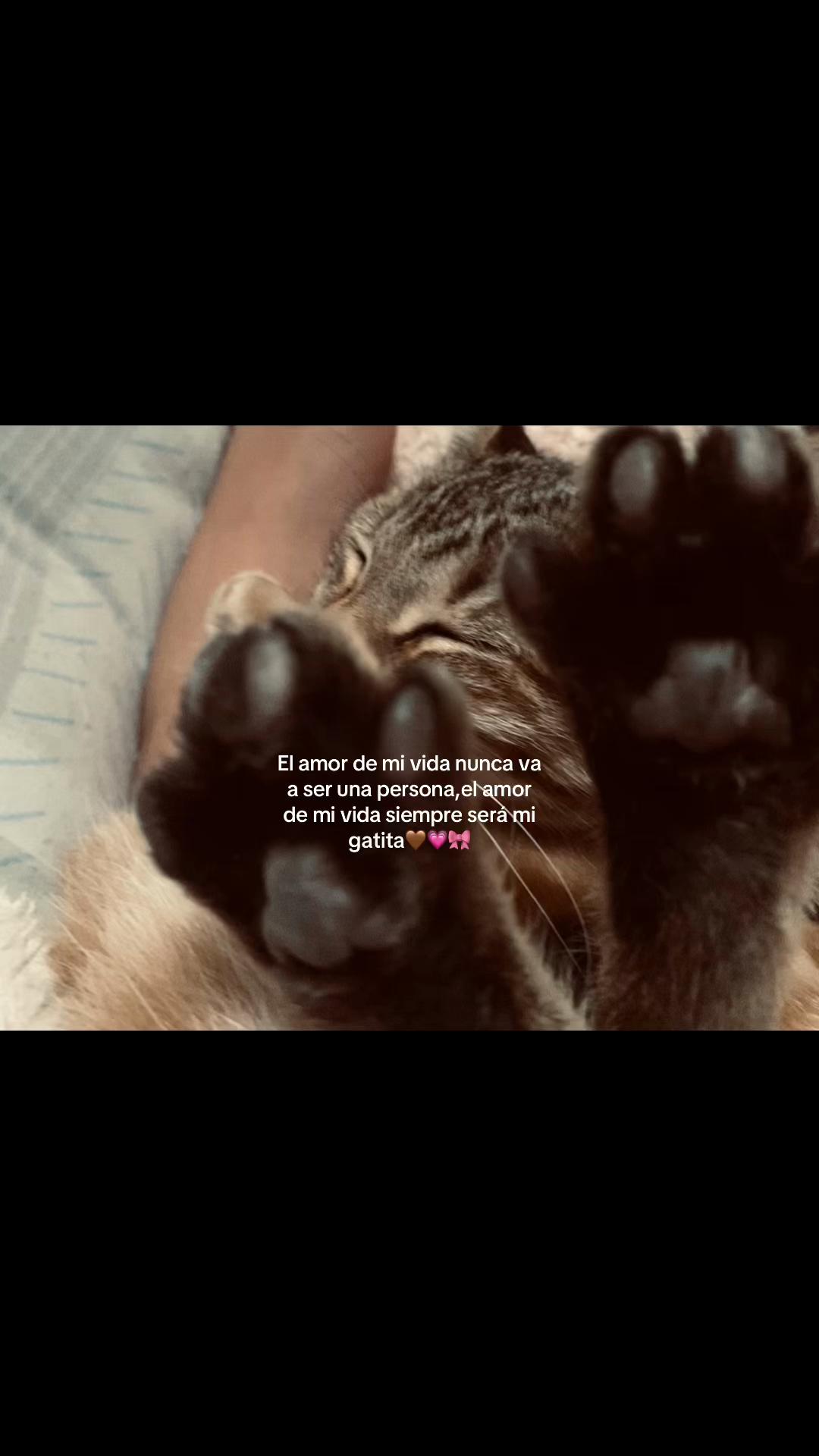 @Renuu💗