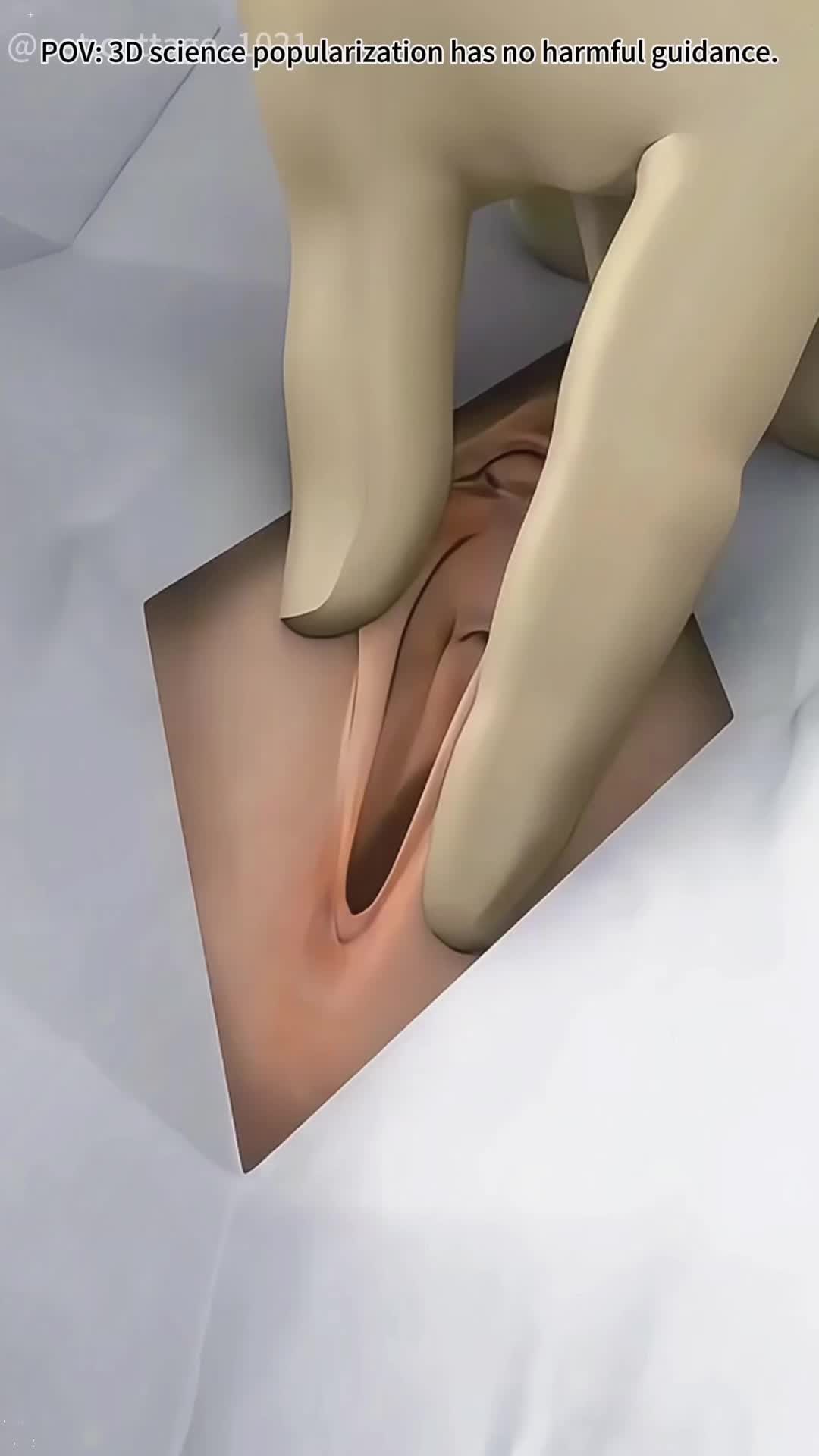@pet.cottage_1021