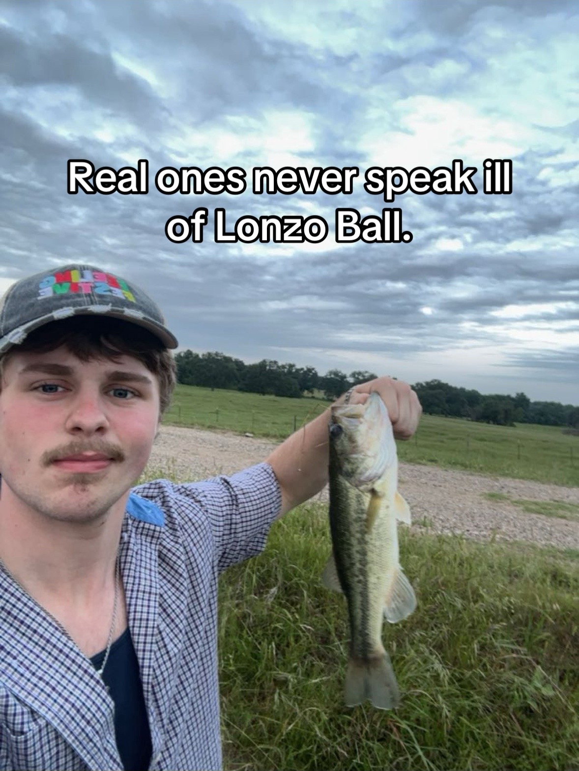 @jp