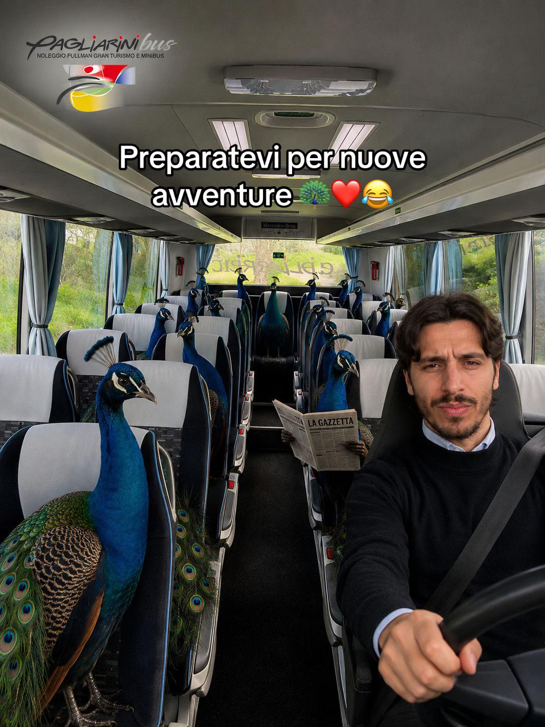 @pagliarinibusnoleggio