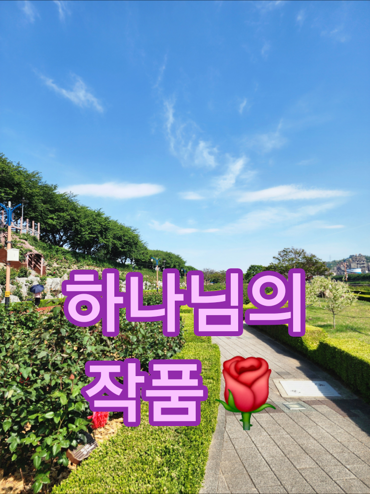 @👋하이파이브맘🇰🇷hifivemom555🚩