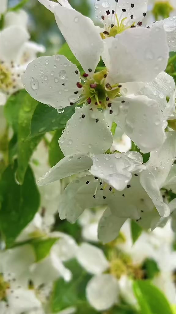 @🌸АнютаЯ🌸