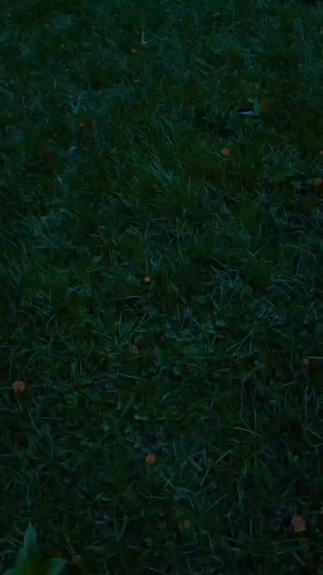 @ش✨