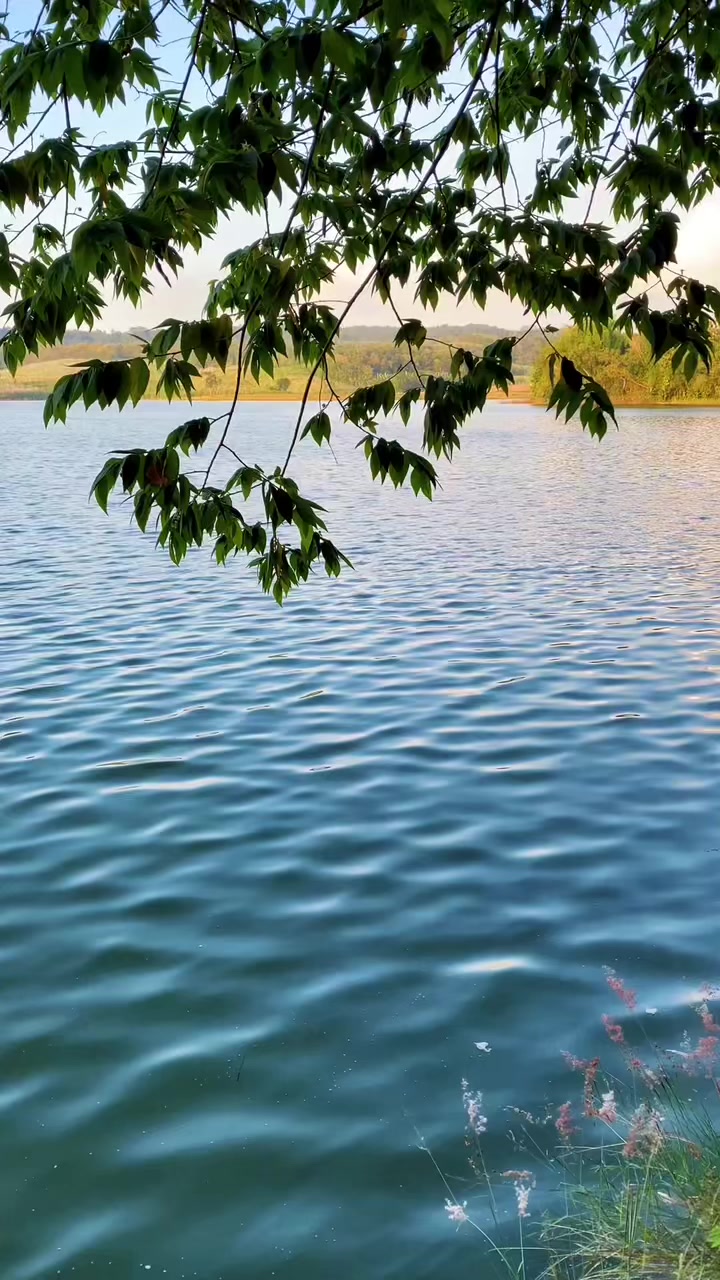 @Andinuyy07