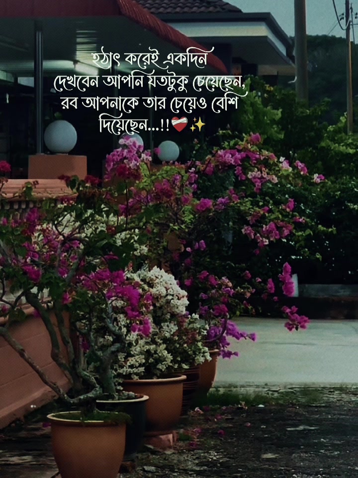 @Sujon Ahmed 🇲🇾