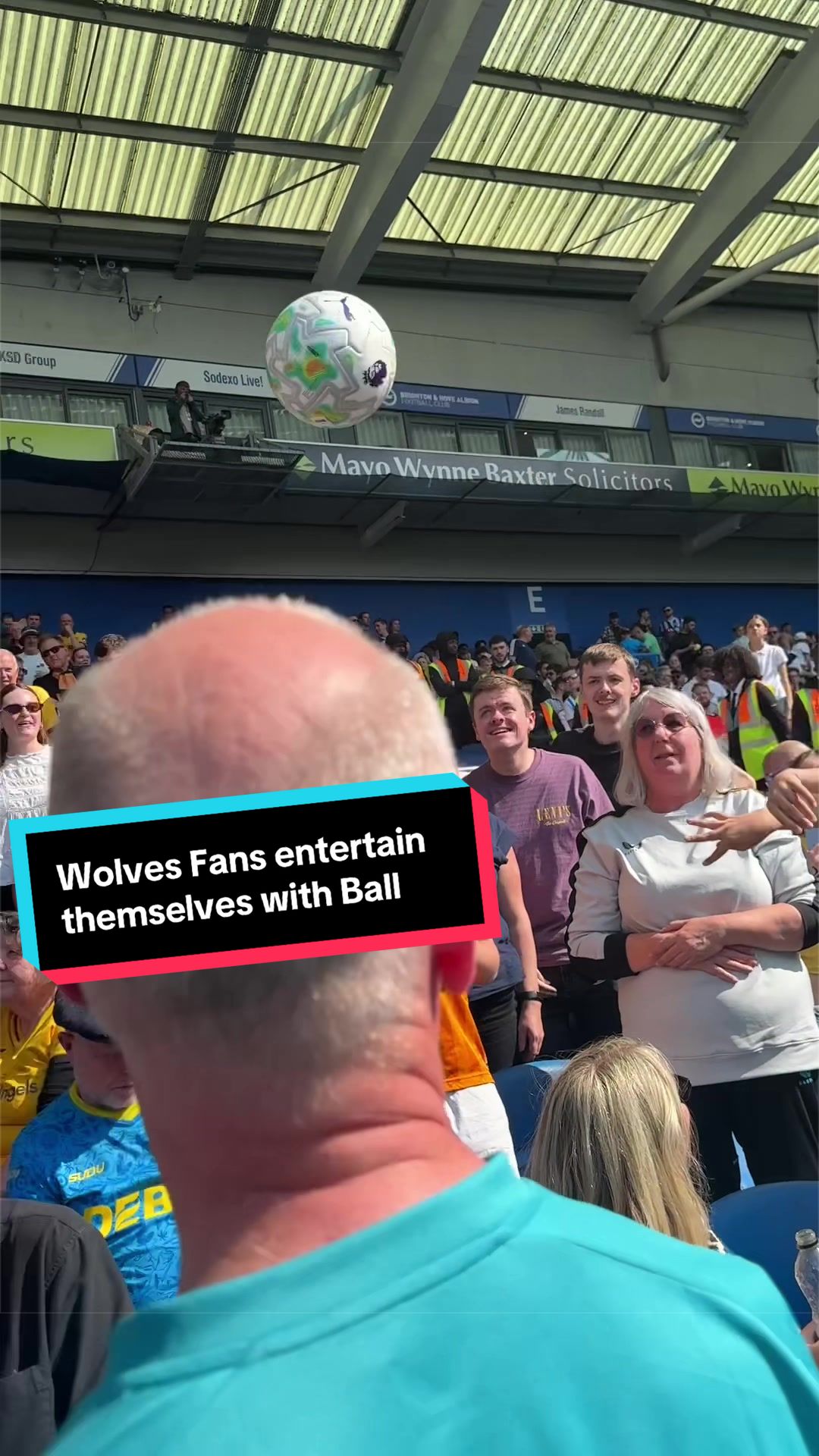 @ALWAYS WOLVES FAN TV