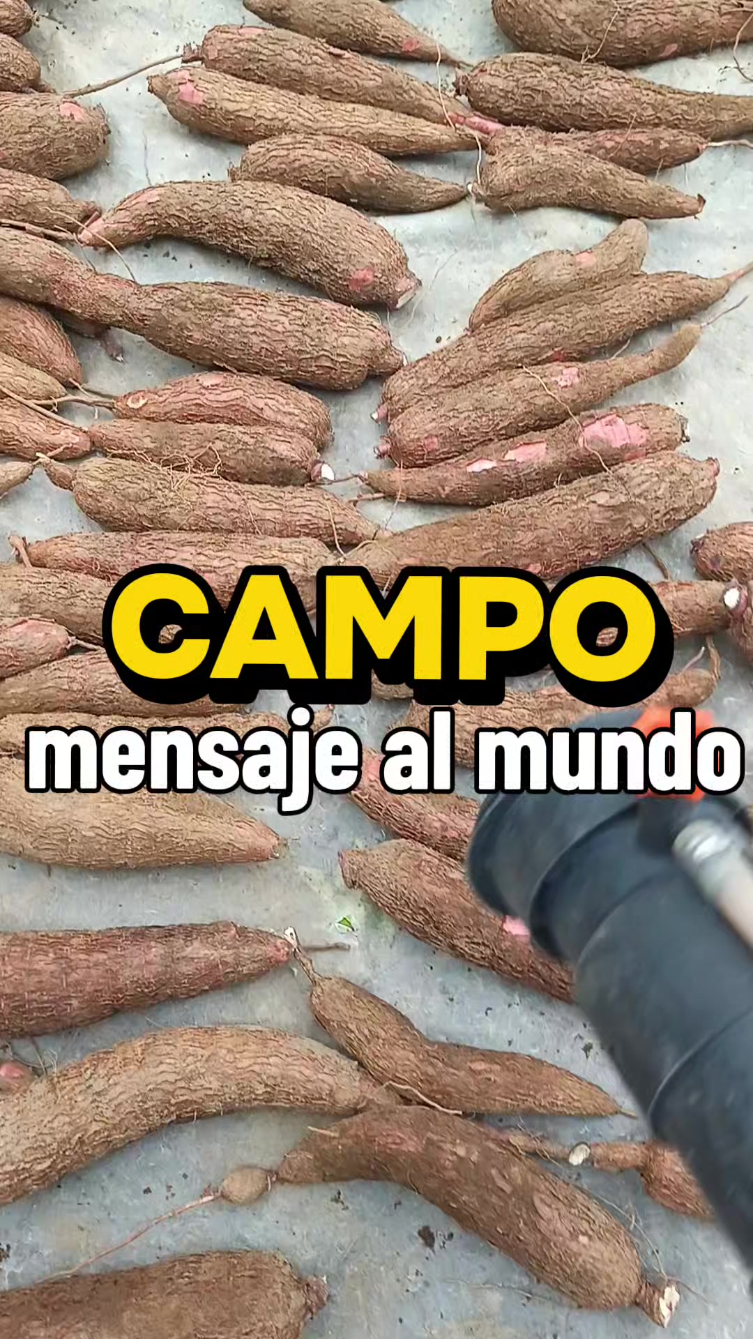 @Enrique Togan