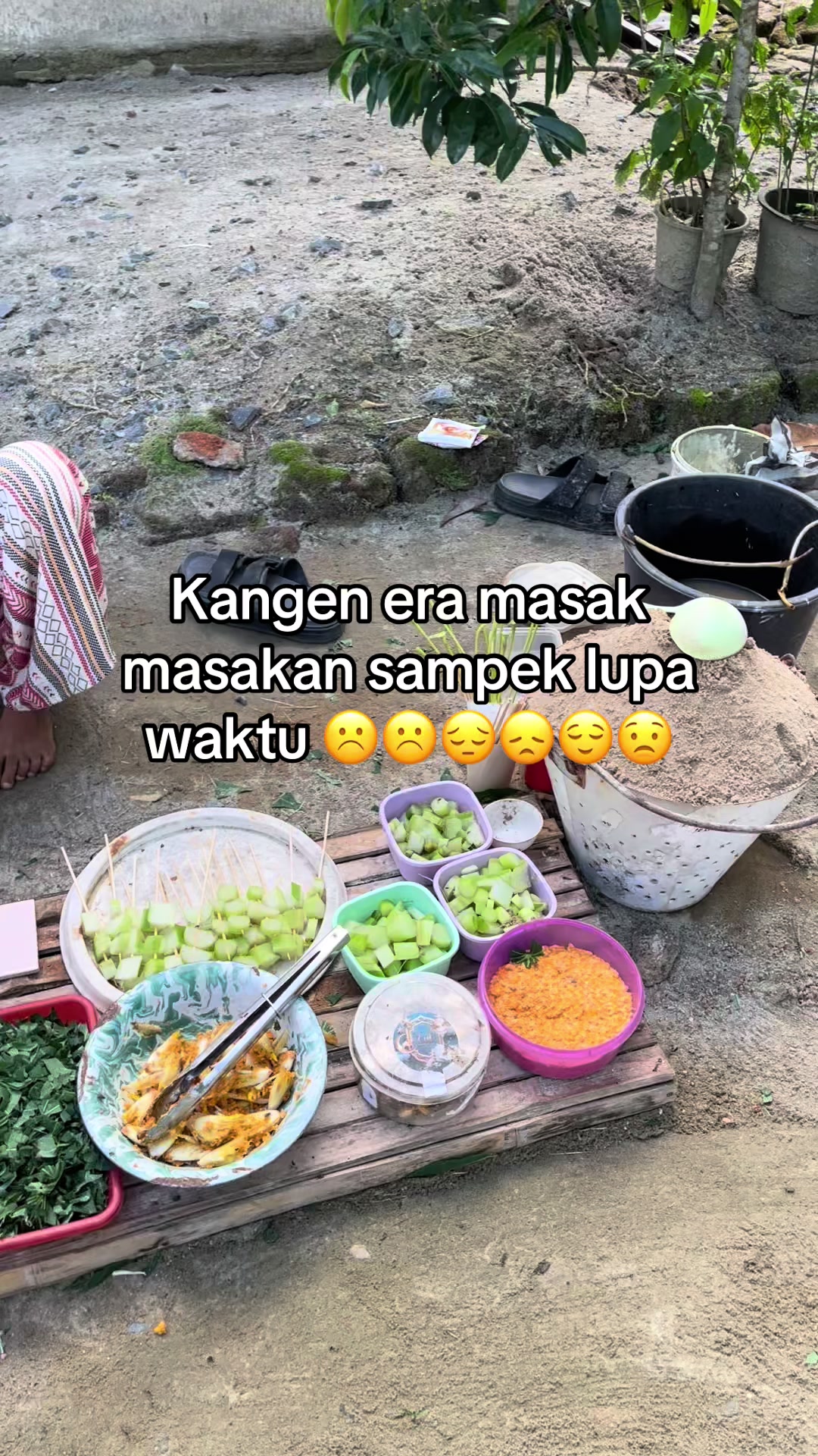 @adelard praudista