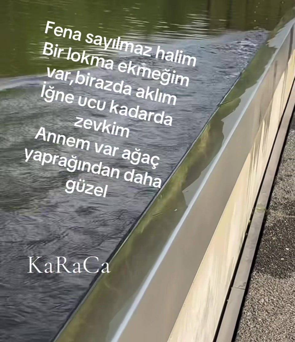 @♾️KaRaCa♾️