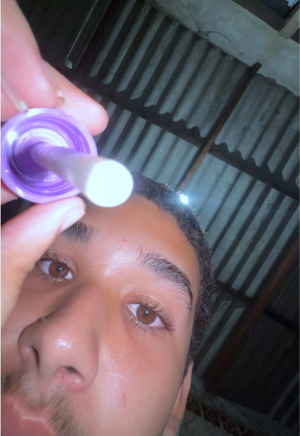 @Bertolino🤠