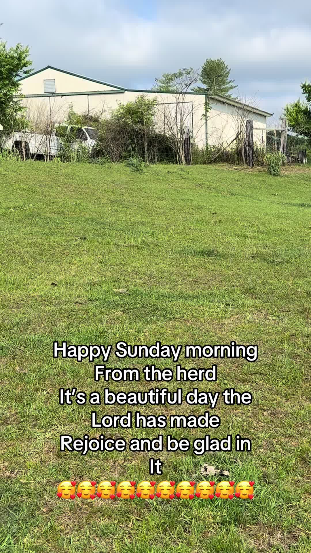 @Joe