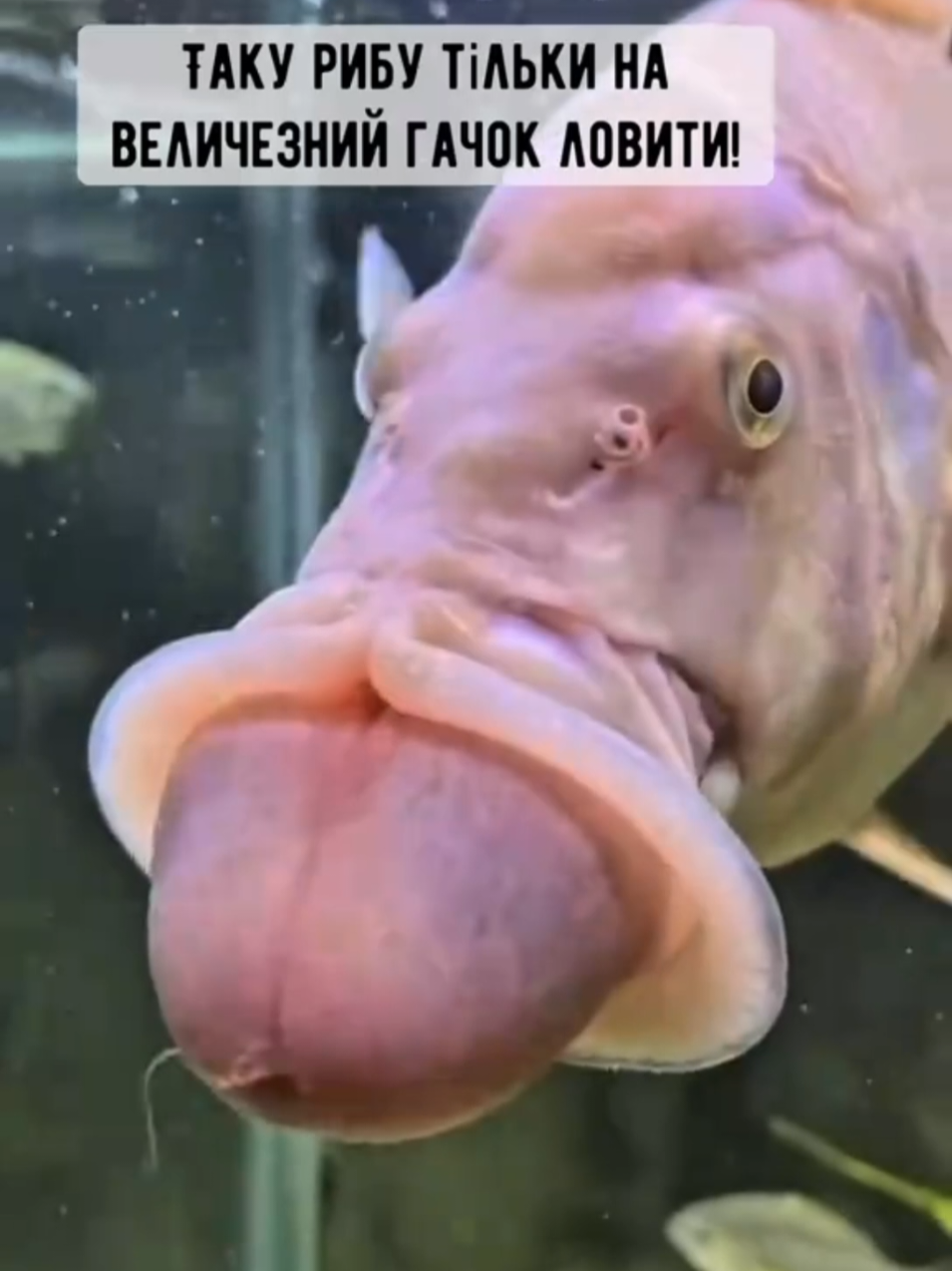 @&uacute;ředn&iacute; pr&aacute;ce
