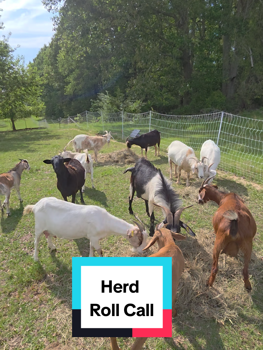 @DelaterrePermacultureFarm