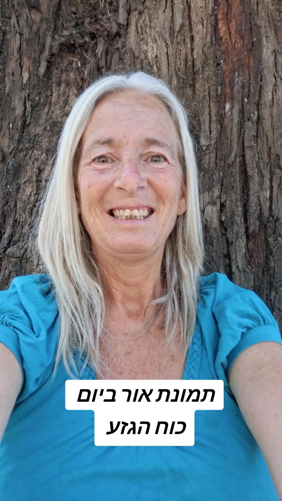 @🌞 קוקי יונה חנישר
