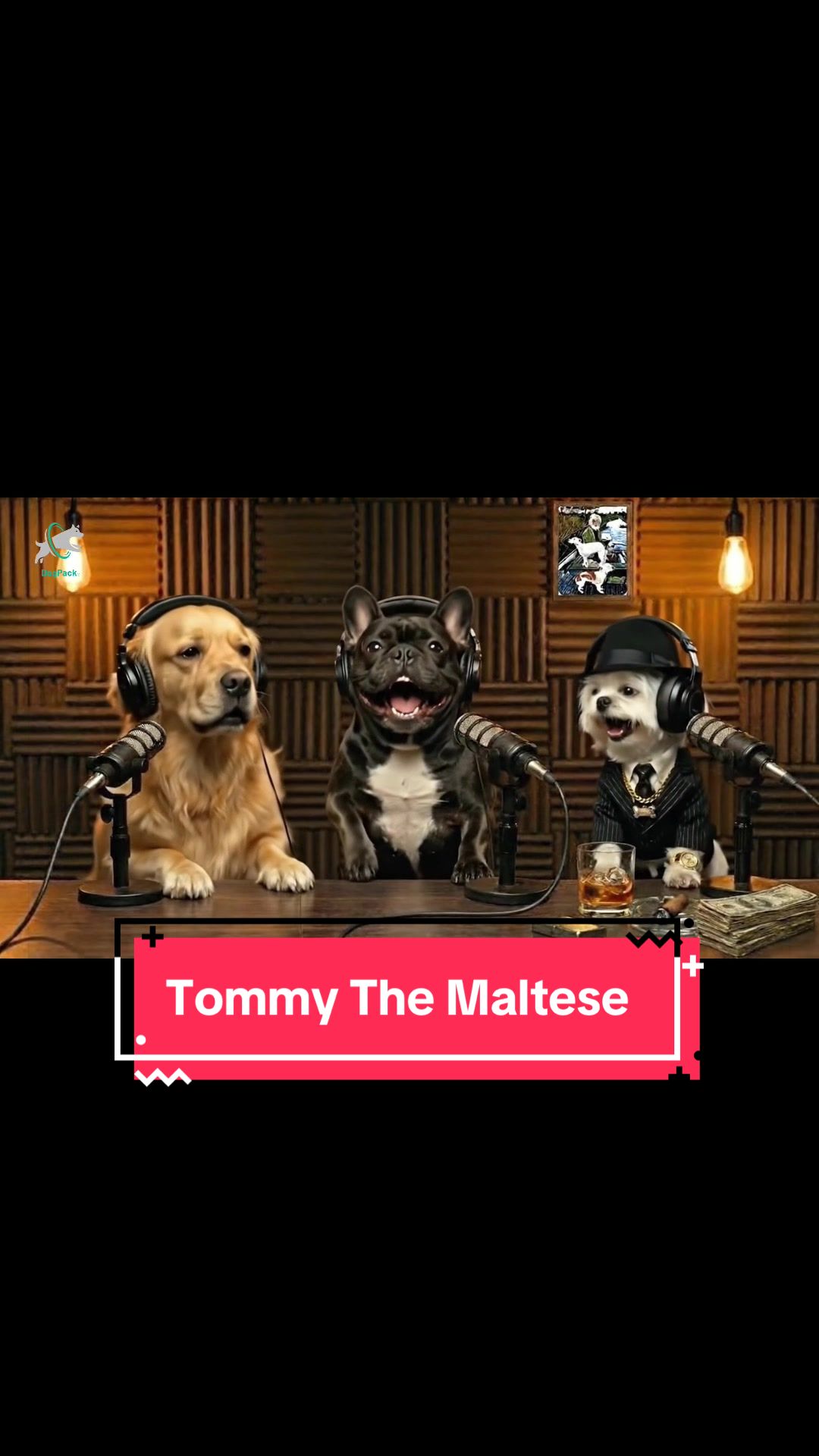 @DogPack