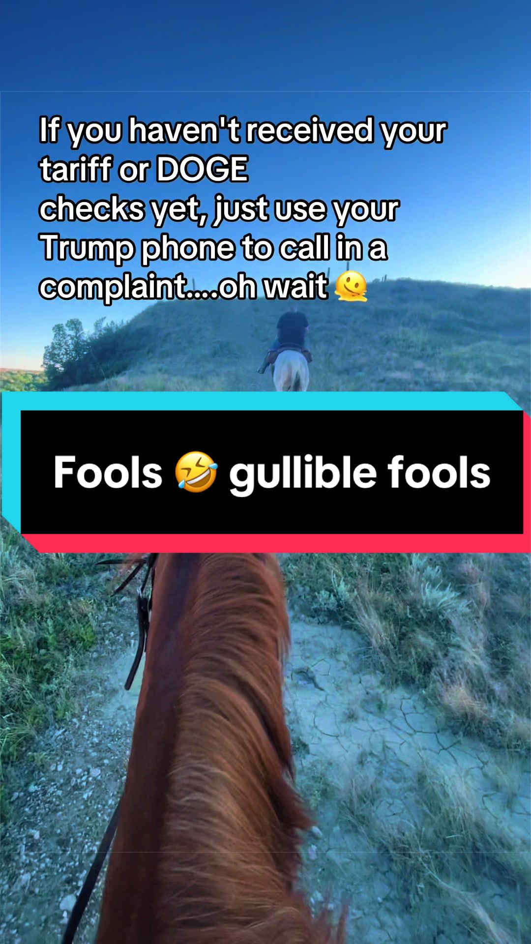 @THE LezBequestrian 🏳️&zwj;🌈