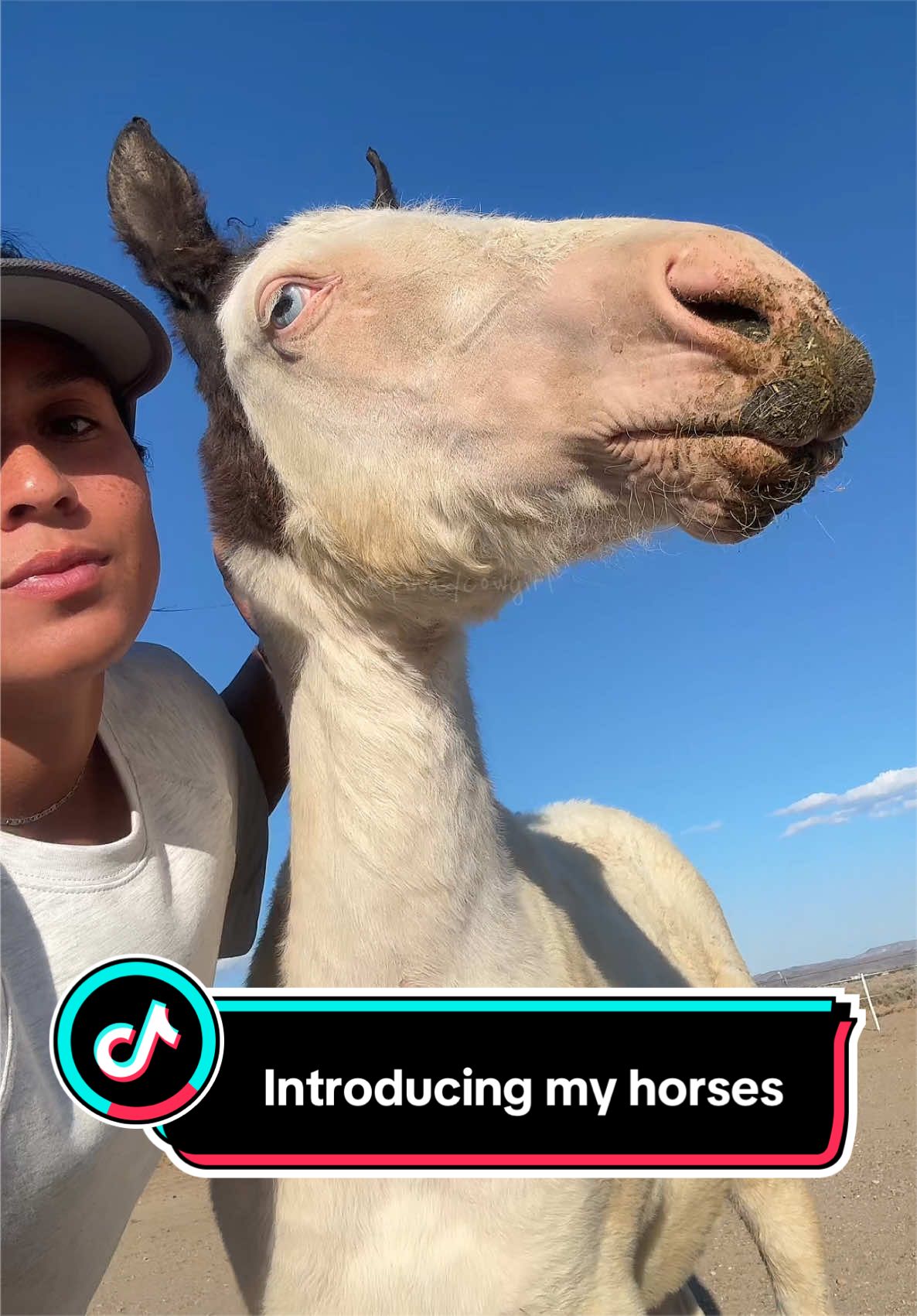 @🇵🇭pinaycowgirl🇵🇭