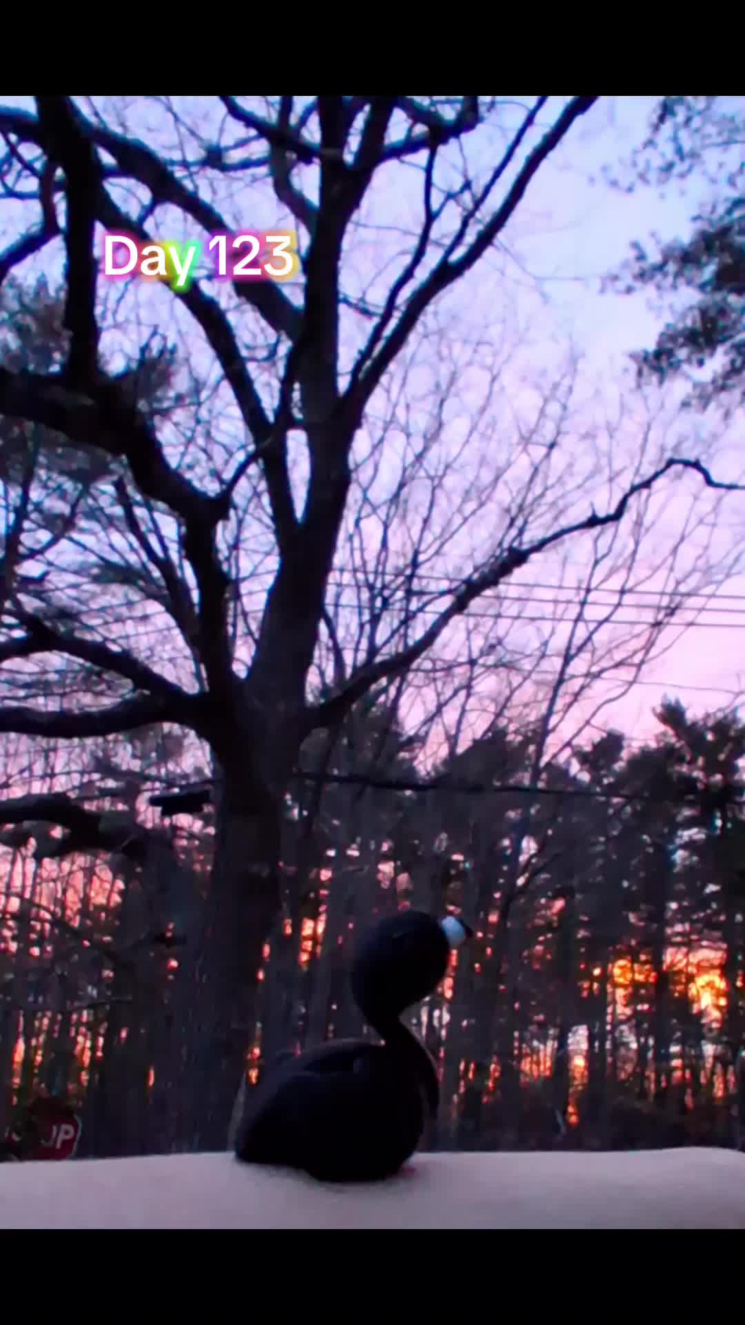 @EveninAcadia