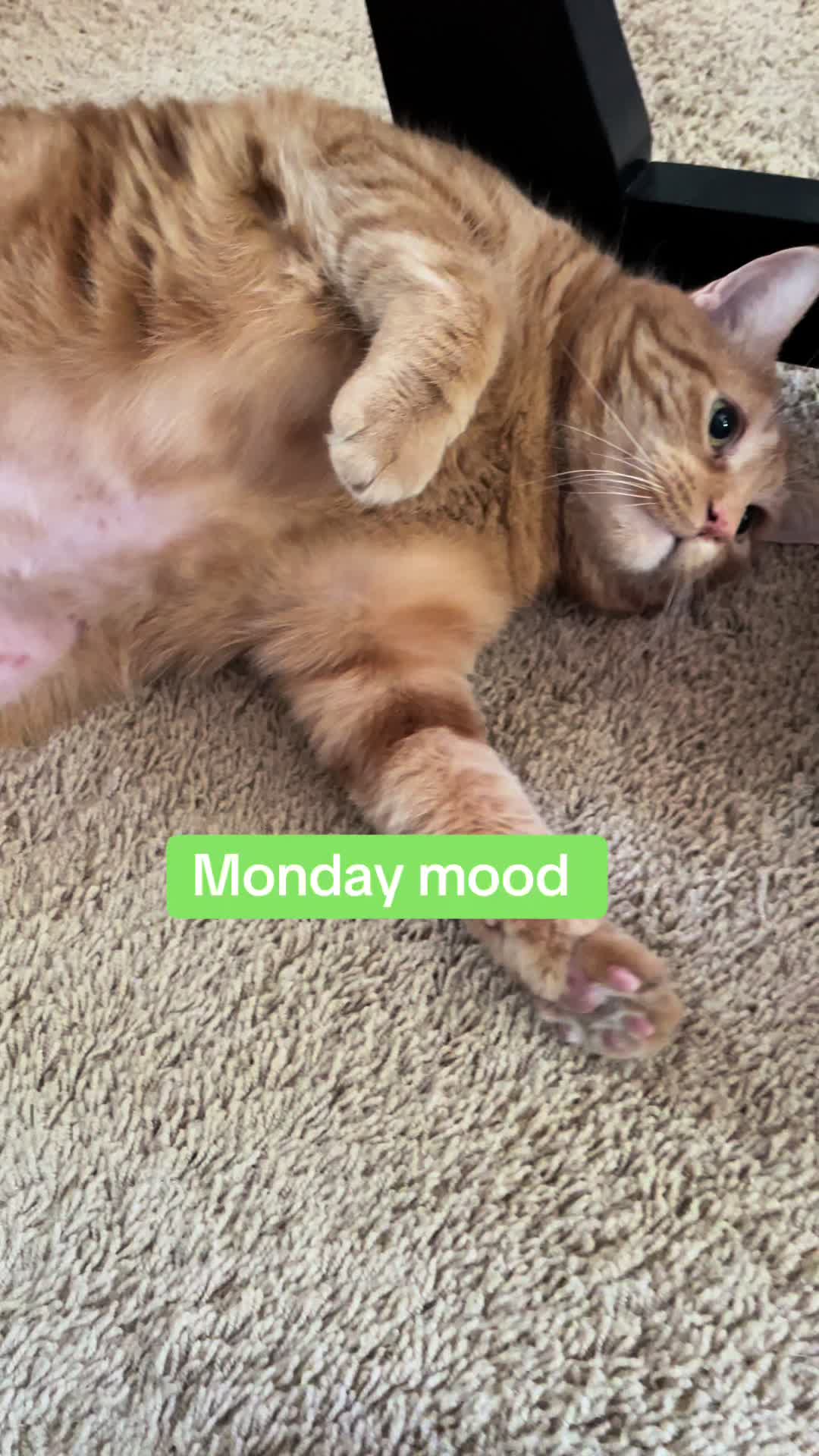 @Oneofthosedays